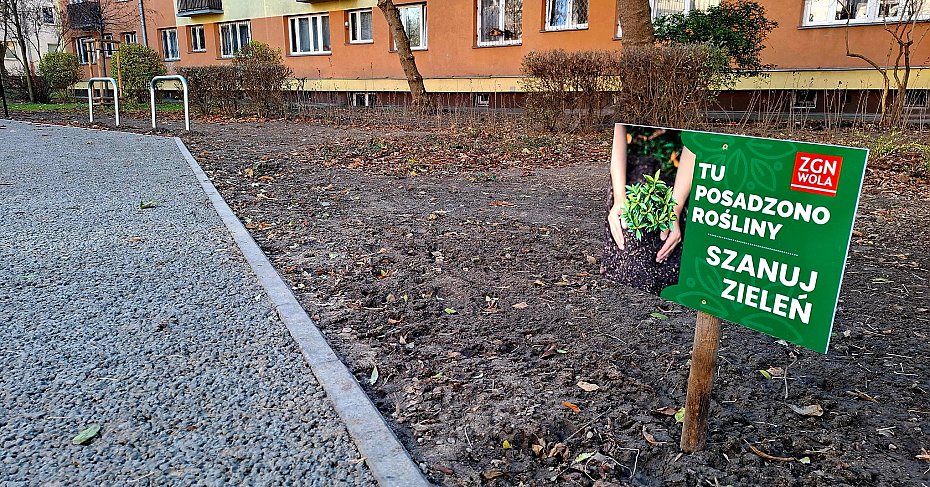 Dwa podwrka na Niskiej po remoncie