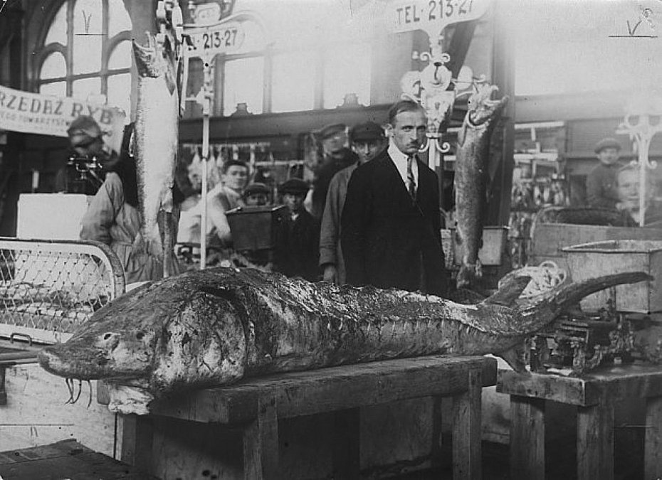 Hala Gwardii przejdzie kompleksow modernizacj. Umowa podpisana