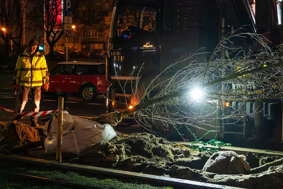Ratusz kontynuuje zazielenianie centrum