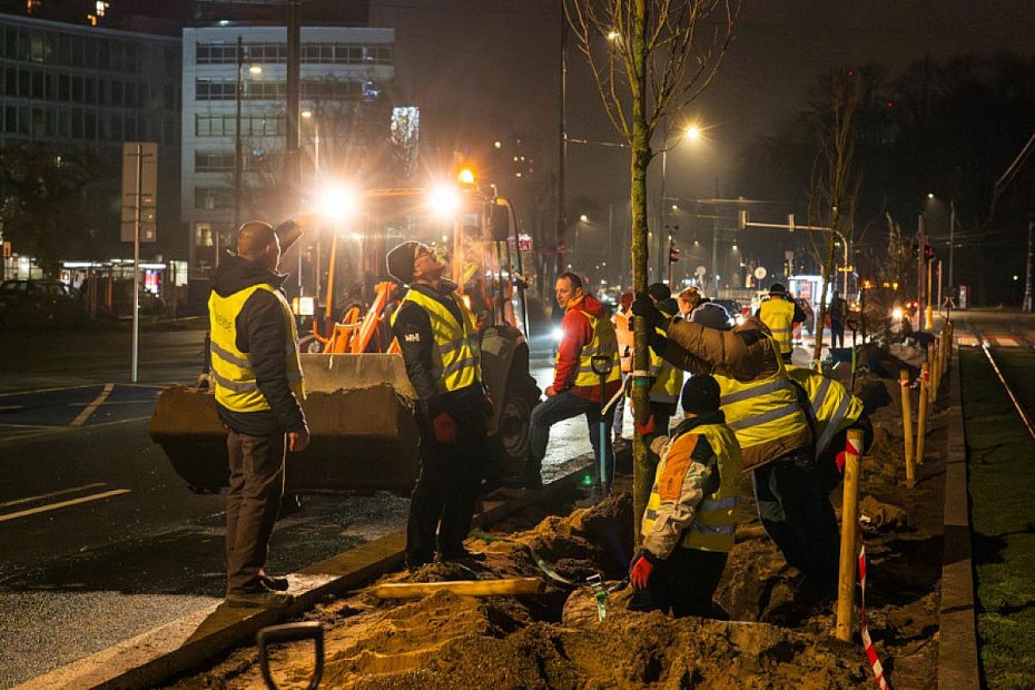 Ratusz kontynuuje zazielenianie centrum
