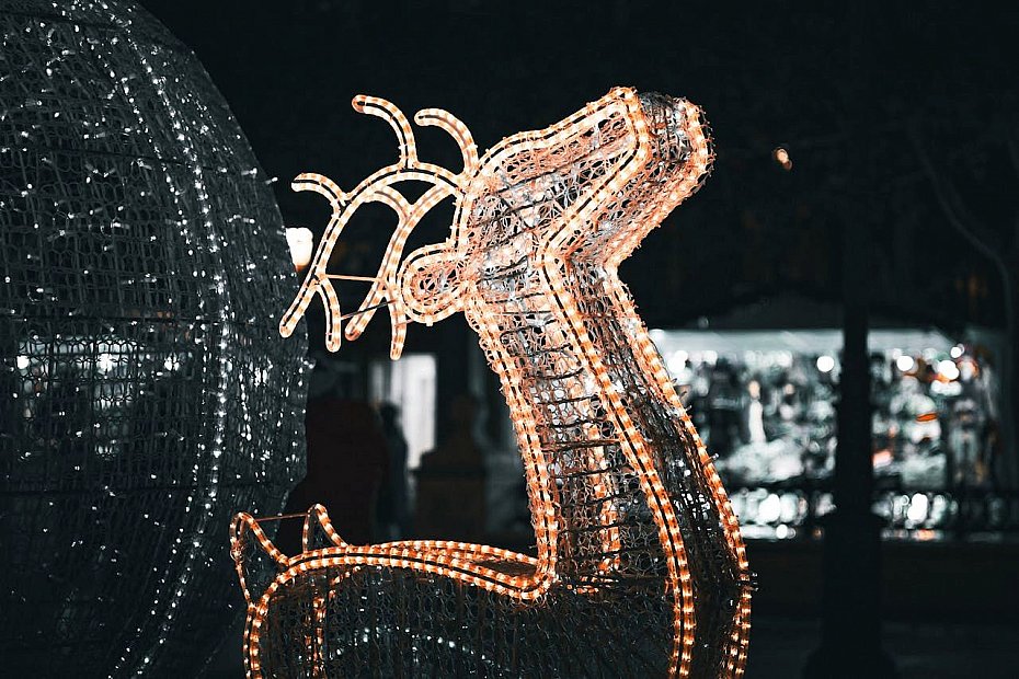 Najciekawsze aran�acje z reniferami LED w �wi�tecznych dekoracjach zewn�trznych