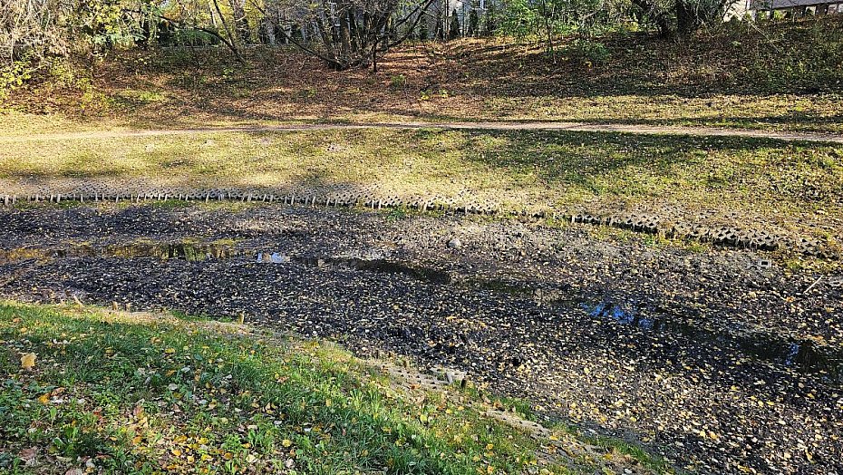 Czy �nieg m�g�by uratowa� fos� Fortu Bema przed wyschni�ciem?