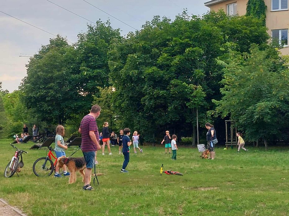 Ogrody Mehoffera z szans� na wi�ksze inwestycje. "O�wietlenia brakuje najbardziej"