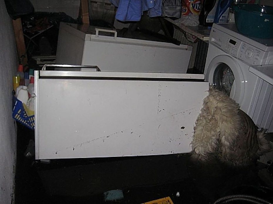 alt='Zalewane ulice Fortu Radiowo doczekaj� si� odwodnienia? Bemowo szuka rozwi�za�'