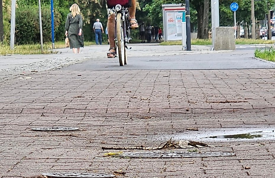 Bielany i �oliborz zyskaj� kolejne asfaltowe �cie�ki rowerowe?