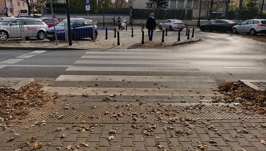 B�d� progi zwalniaj�ce przed zebrami na Krasi�skiego w rejonie placu Wilsona?