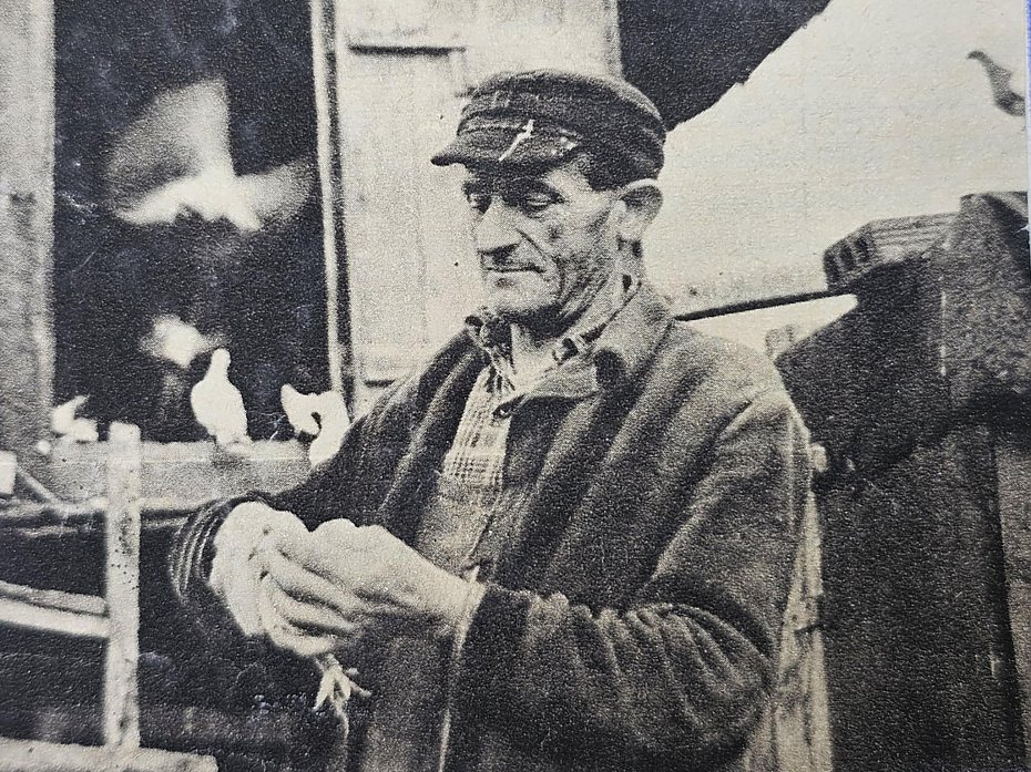 alt='�wiat go��biarzy i ma�ych domk�w. Dawno temu na Pelcowi�nie'