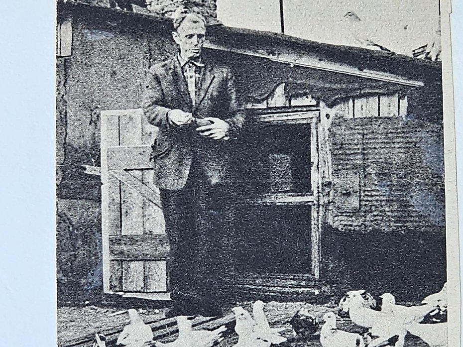 �wiat go��biarzy i ma�ych domk�w. Dawno temu na Pelcowi�nie