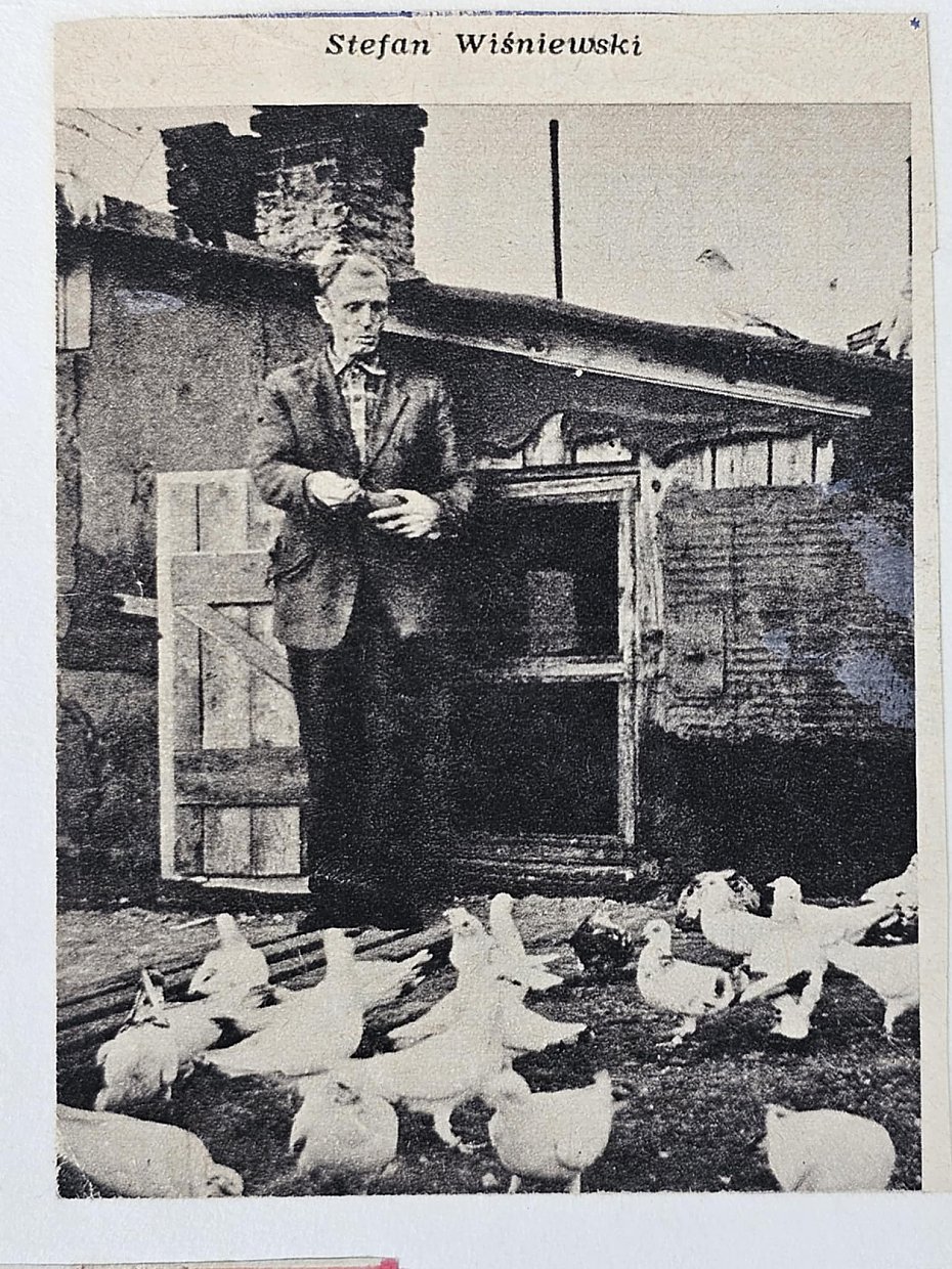 �wiat go��biarzy i ma�ych domk�w. Dawno temu na Pelcowi�nie