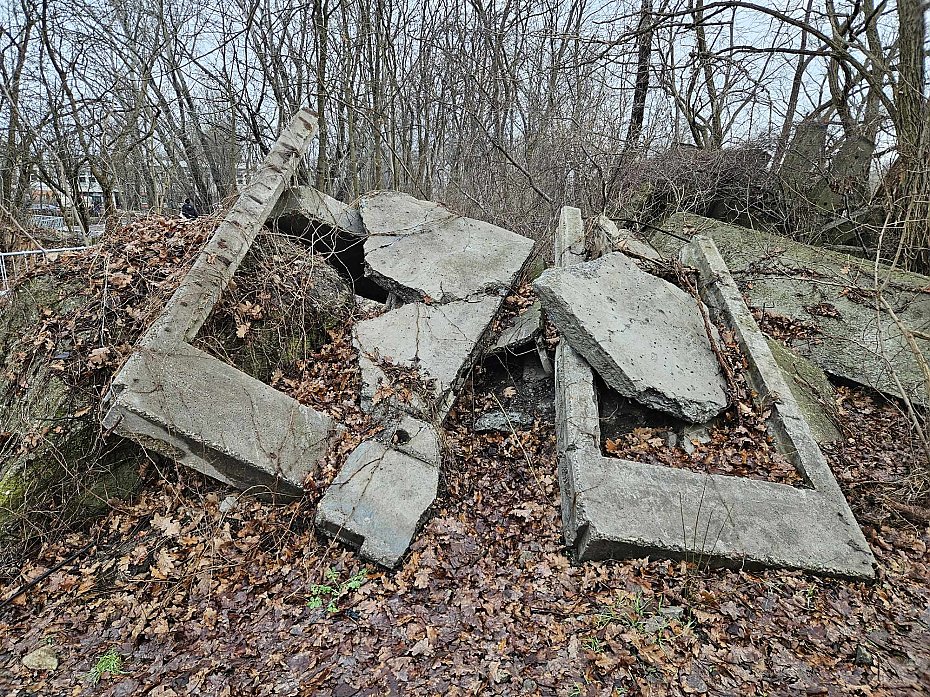 "Czwarta przyroda" czy odpady? RDO� chce usuni�cia betonowych p�yt z parku �era�skiego