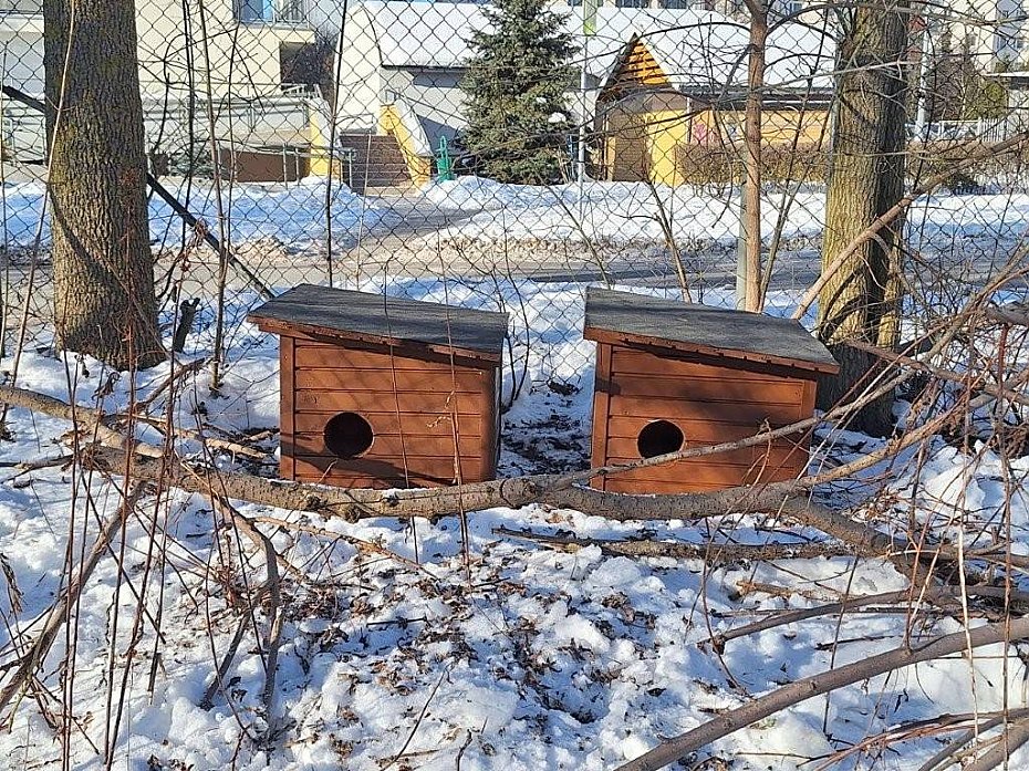 "Pokaz�wka" czy realna pomoc? Burza po wpisie wiceburmistrza o kotach