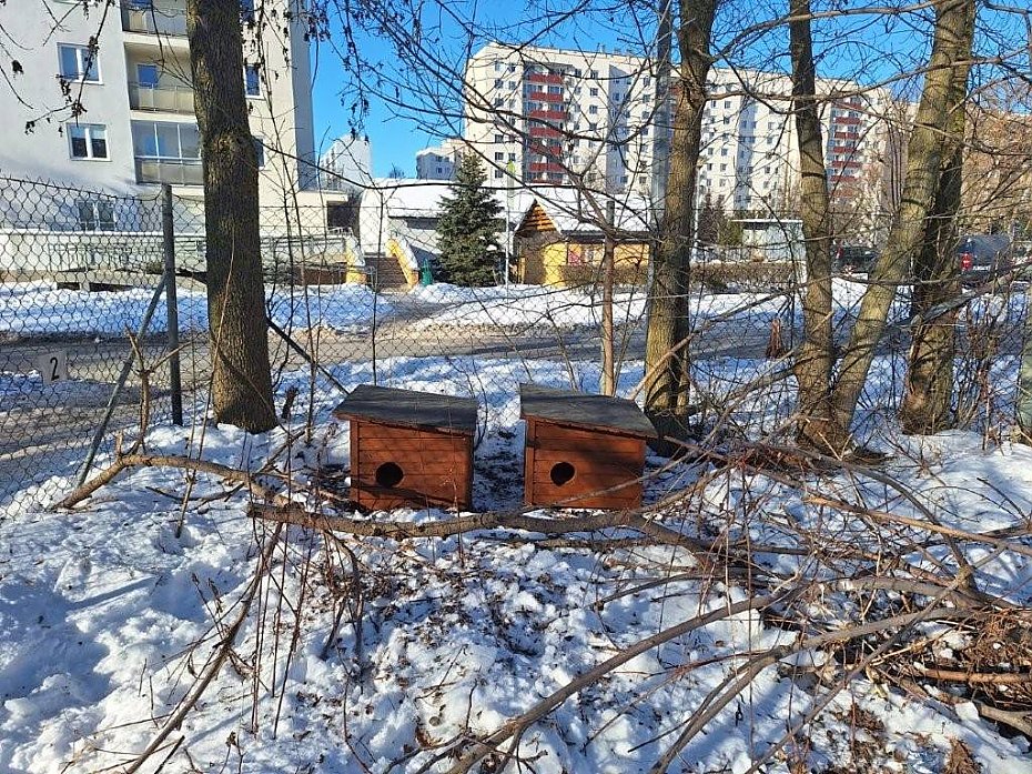 "Pokaz�wka" czy realna pomoc? Burza po wpisie wiceburmistrza o kotach