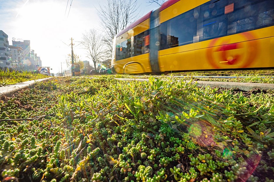 alt='Zielone torowisko? "Najpierw remont"'