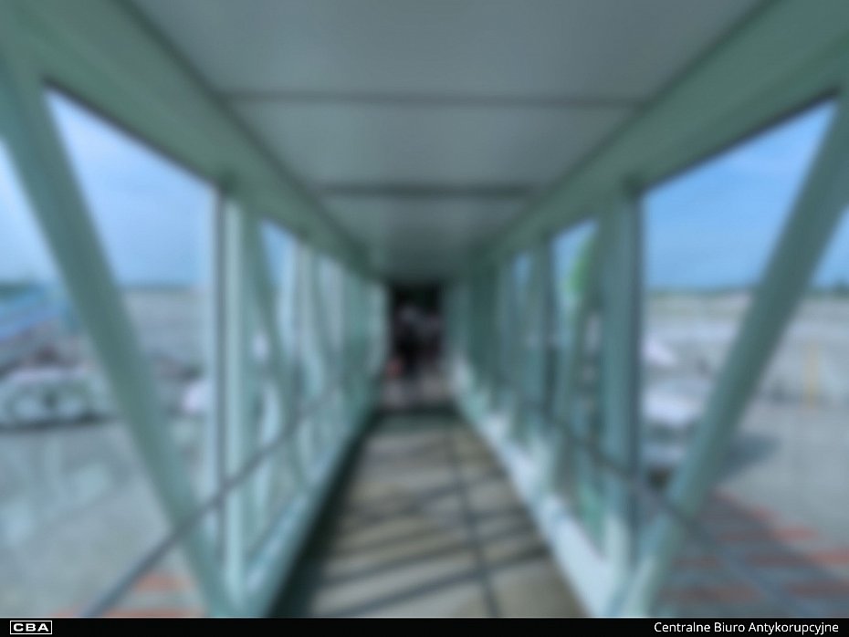 alt='Ukrywa� si� latami za granic�. CBA doprowadzi�o do deportacji Daniela B.'