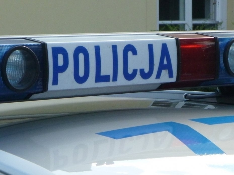 alt='Podejrzany o celowe przejechanie psa. Grozi mu do 3 lat wi�zienia'