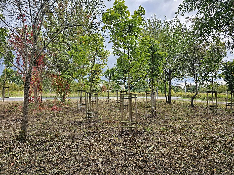 alt='Park na Brzezinach: jest przetarg'