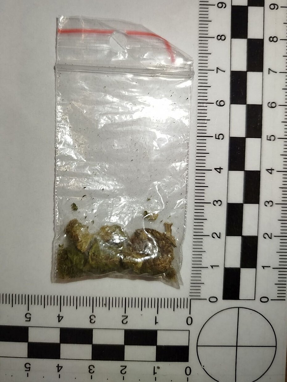 alt='Marihuana ukryta w kuchni. 50-latek zatrzymany'