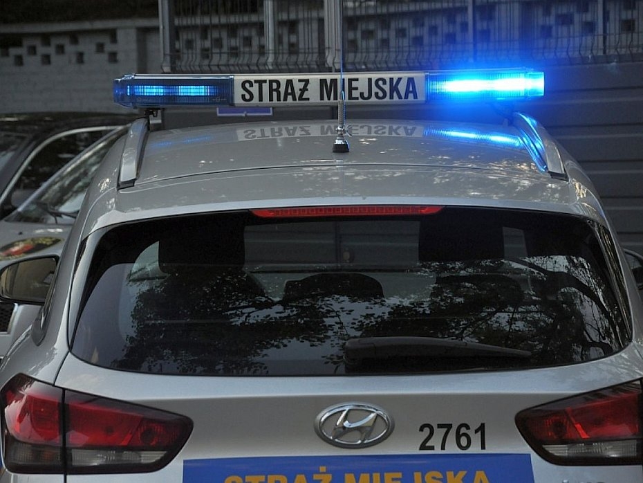 alt='Wra�liwe dane na dzikim wysypisku. Stra� miejska interweniowa�a'