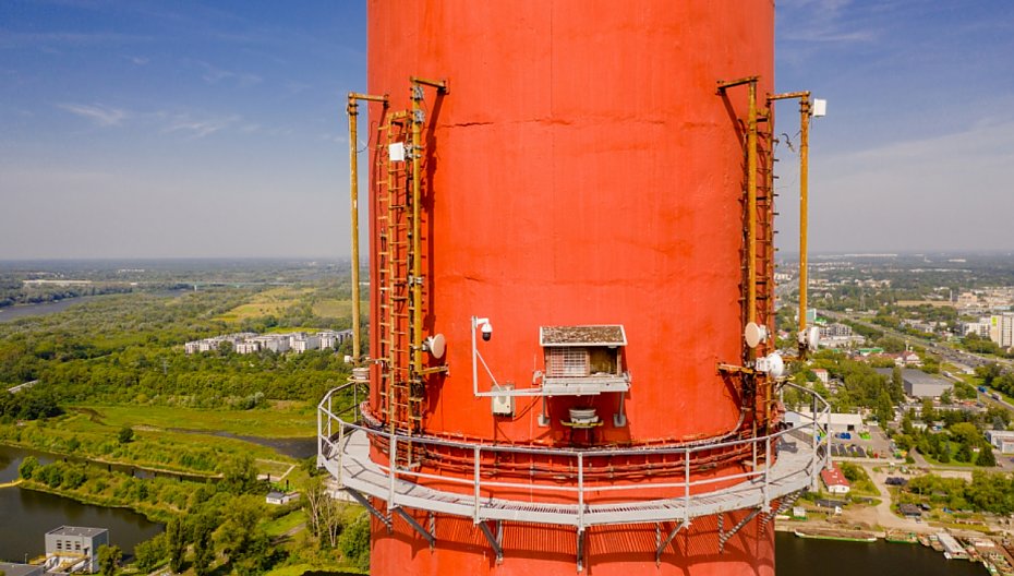 Soko�y w�drowne. Burzliwa historia ptasiej rodziny