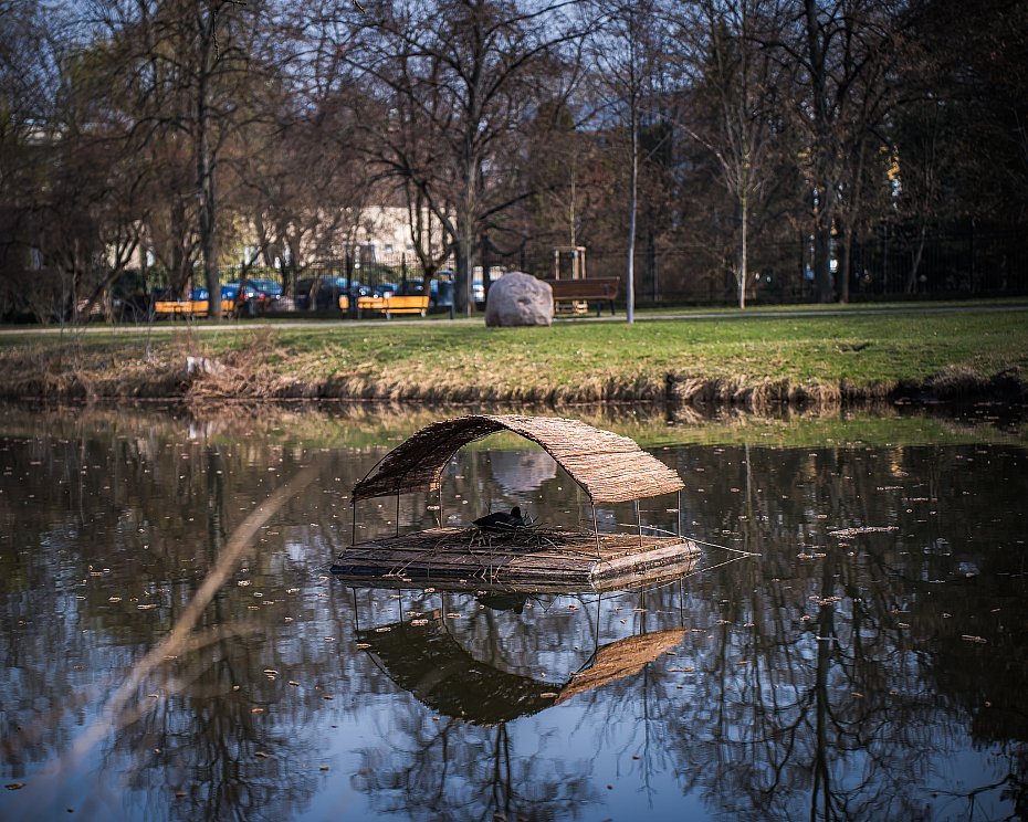 alt='51 tratw dla ptak�w na kana�ach i stawach'