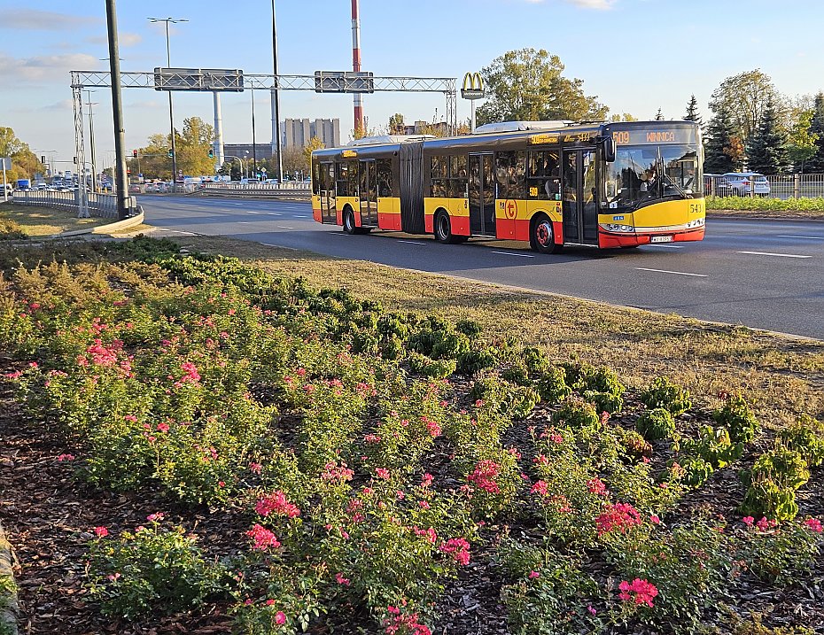 alt='509 przyspieszy, kierowcy utkn�. Nowe buspasy'