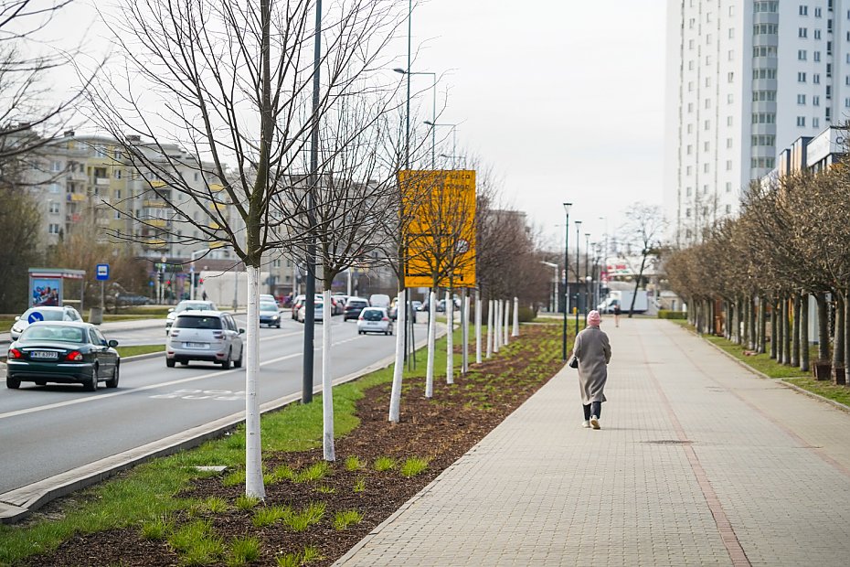 Drzewa wa�niejsze ni� parkingi przy szpitalu? Kontrowersje na Br�dnie