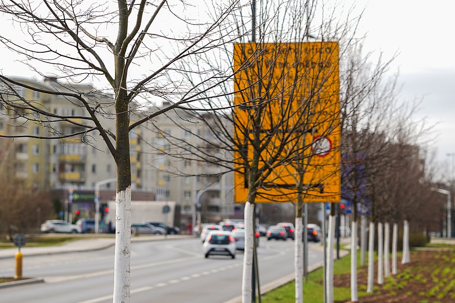 alt='Drzewa wa�niejsze ni� parkingi przy szpitalu? Kontrowersje na Br�dnie'