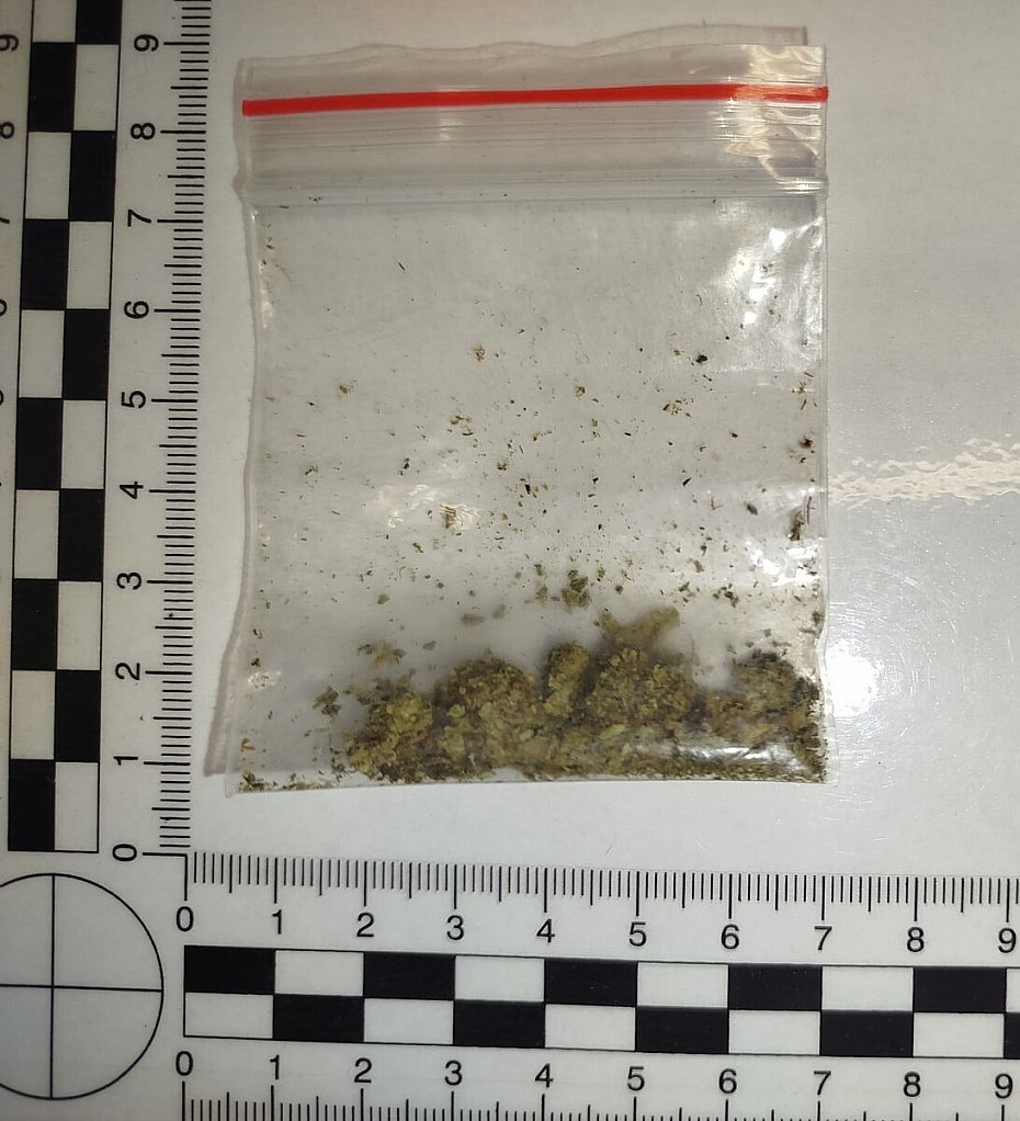 alt='Nerwowy spacer zako�czy� si� zatrzymaniem. Mia� przy sobie marihuan�'