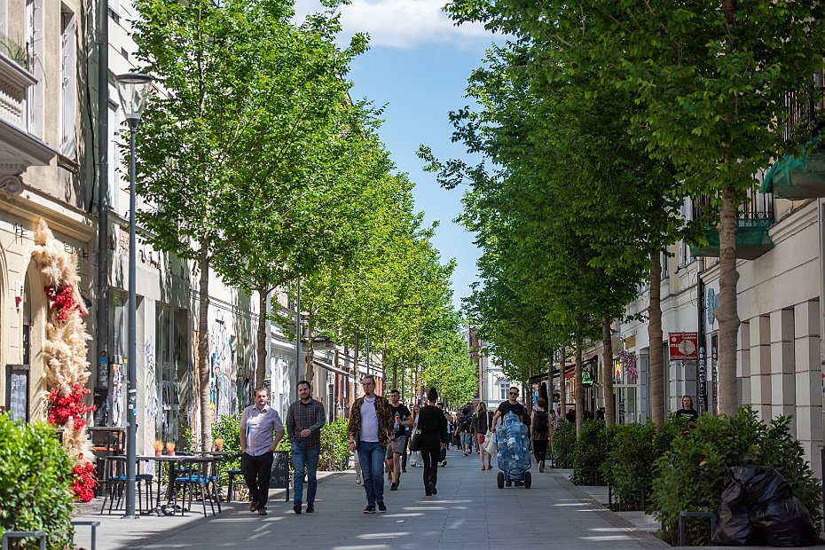 Gigantyczne koszty zieleni w Warszawie. Ile p�ac� mieszka�cy?