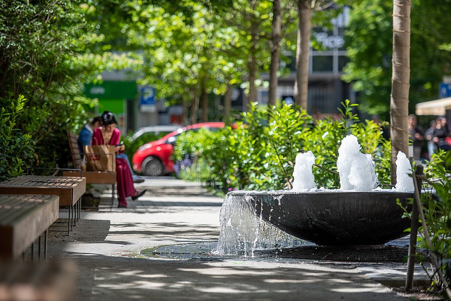 alt='Gigantyczne koszty zieleni w Warszawie. Ile p�ac� mieszka�cy?'