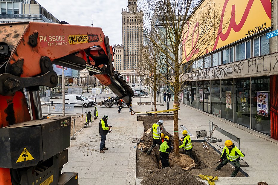 Gigantyczne koszty zieleni w Warszawie. Ile p�ac� mieszka�cy?
