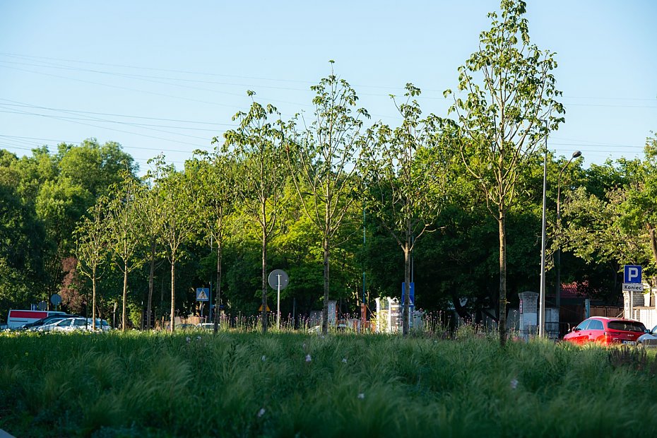 Gigantyczne koszty zieleni w Warszawie. Ile p�ac� mieszka�cy?