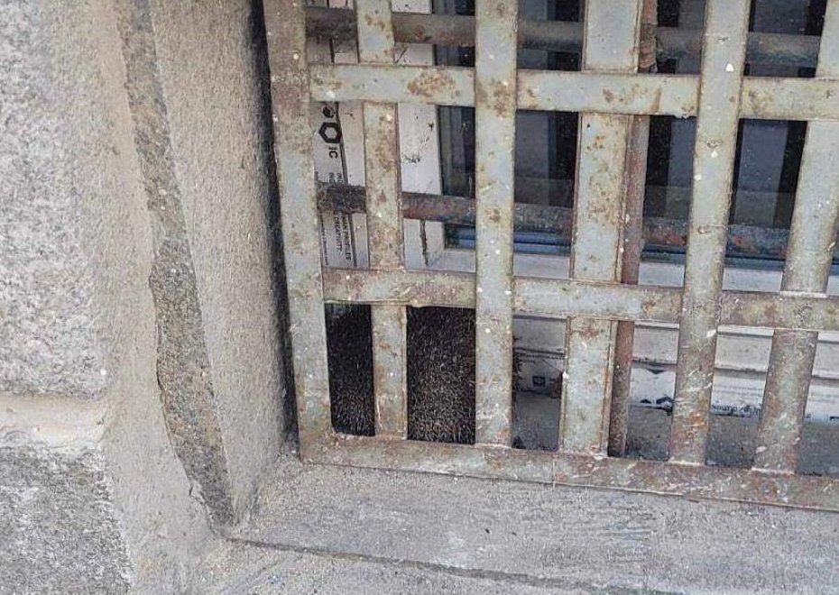 alt='Je� utkn�� za kratami szko�y. Interweniowali stra�nicy i stra�acy'