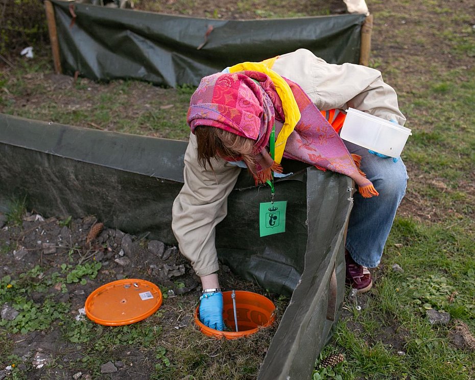 alt='Wolontariusze uratowali setki p�az�w podczas migracji'