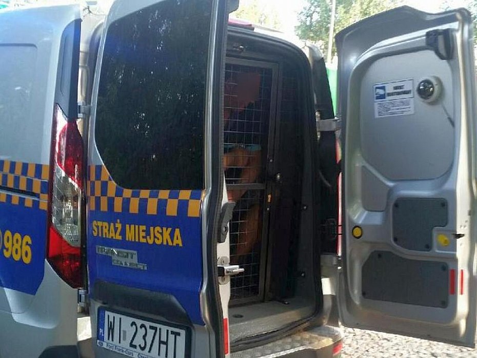 alt='Nietrze�wy pasa�er w autobusie mia� cudze dokumenty i telefon'
