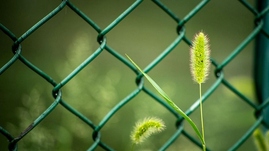 Jak wybra� ogrodzenie w Warszawie? Praktyczny poradnik