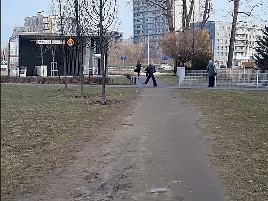 �w. Wincentego: drzewa s�, chodnika nie b�dzie. ZDM m�wi o "niegospodarno�ci"