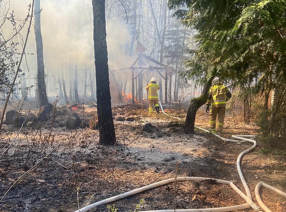 alt='Po�ar lasu pod Pu�tuskiem. Le�niczy ruszy� na pomoc seniorowi'