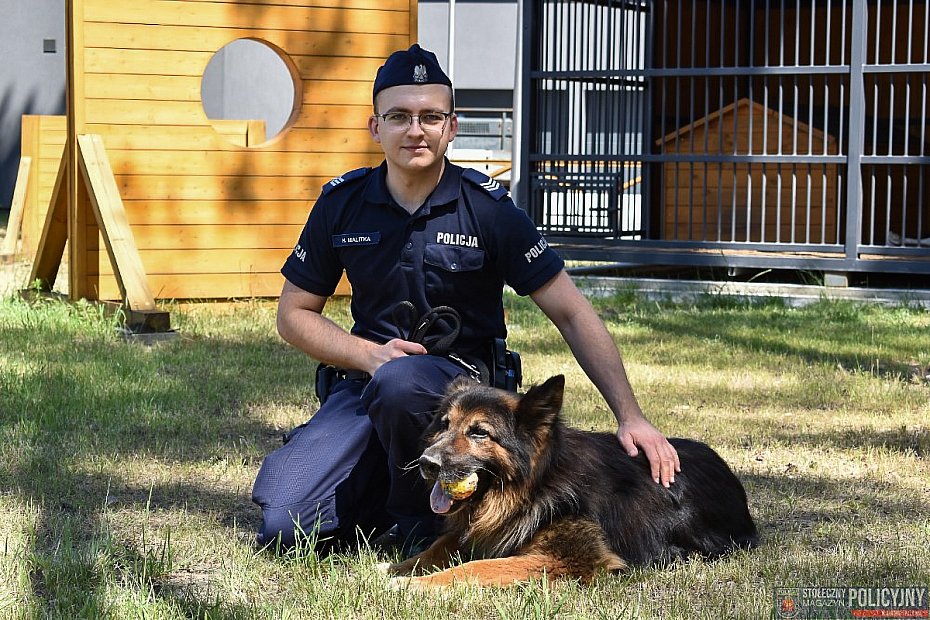 alt='Psia emerytura w policji. Co dzieje si� z czworono�nymi funkcjonariuszami?'