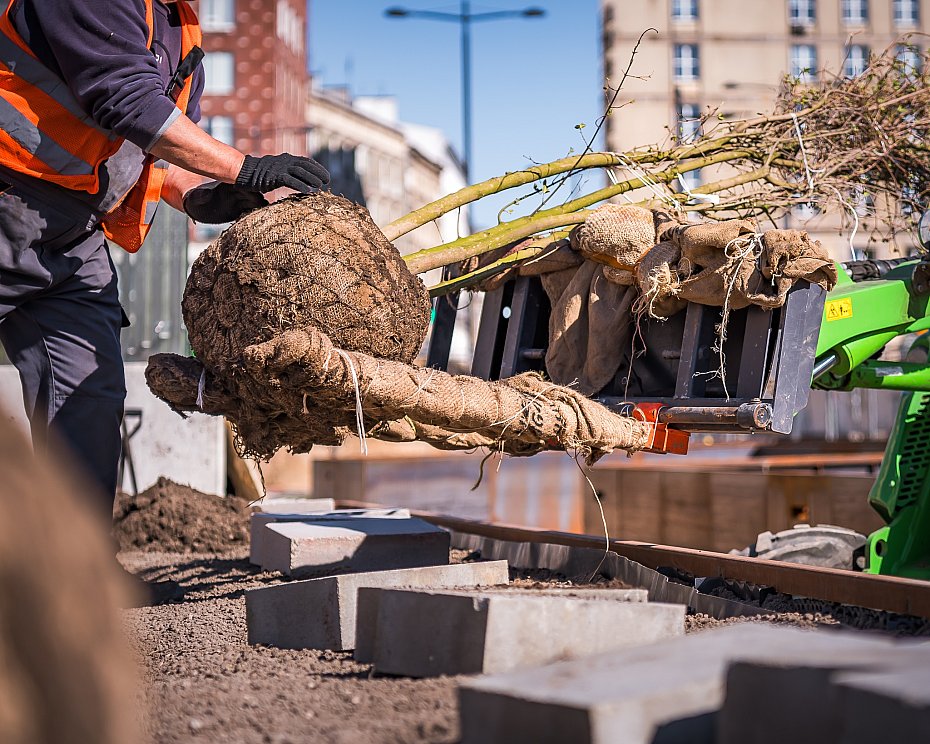 alt='Nowe Centrum Warszawy: sadz� drzewa i tworz� ogr�d muzyki'