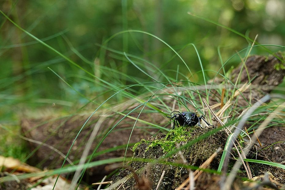 alt='Le�ny weekend w Warszawie. Spacery, warsztaty i wyk�ady'