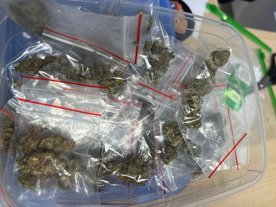 alt='Zatrzymany z du�� ilo�ci� narkotyk�w. Trafi� do aresztu'