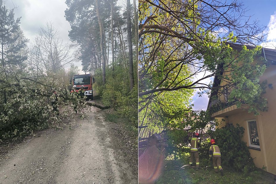 Silny wiatr w powiecie legionowskim. 24 interwencje stra�ak�w