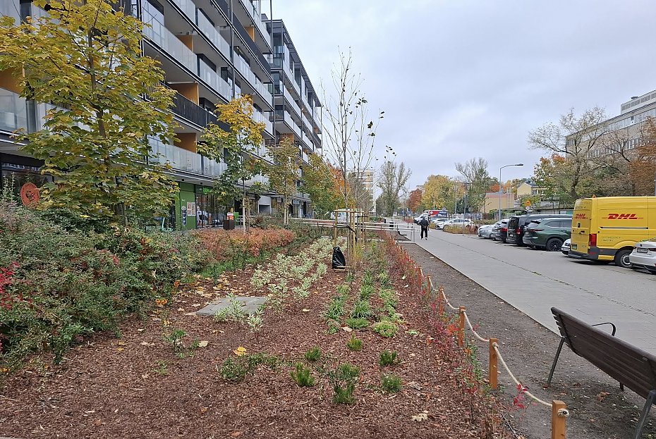 Wi�cej zieleni na Rydygiera? Dwa projekty trafi� pod g�osowanie mieszka�c�w