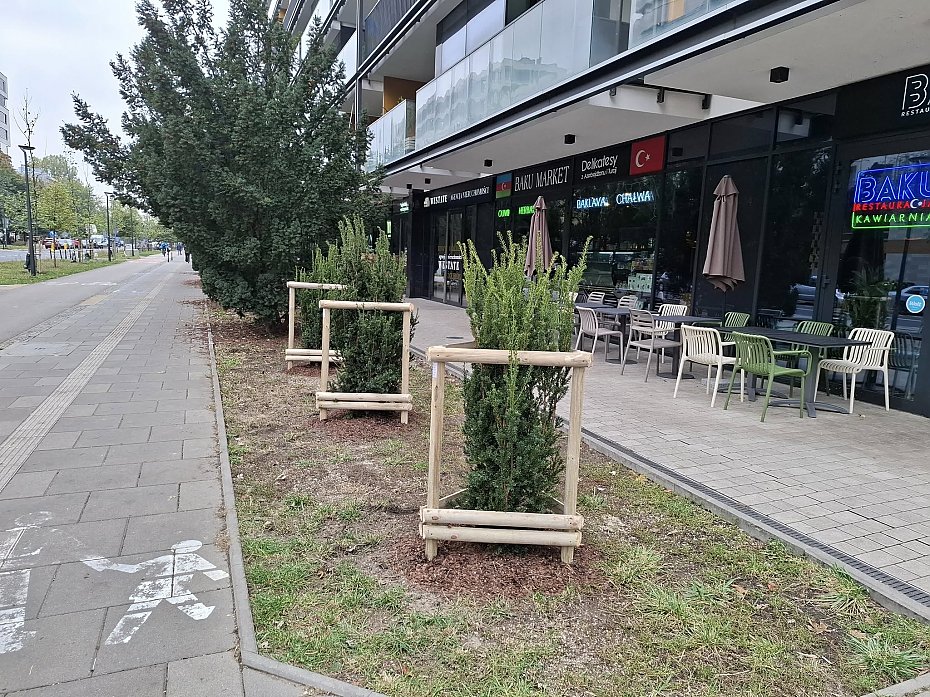 Wi�cej zieleni na Rydygiera? Dwa projekty trafi� pod g�osowanie mieszka�c�w