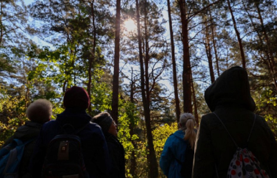 alt='Biela�ski Festiwal Kampinosu 2026. Spacery, warsztaty i wydarzenia w Puszczy'