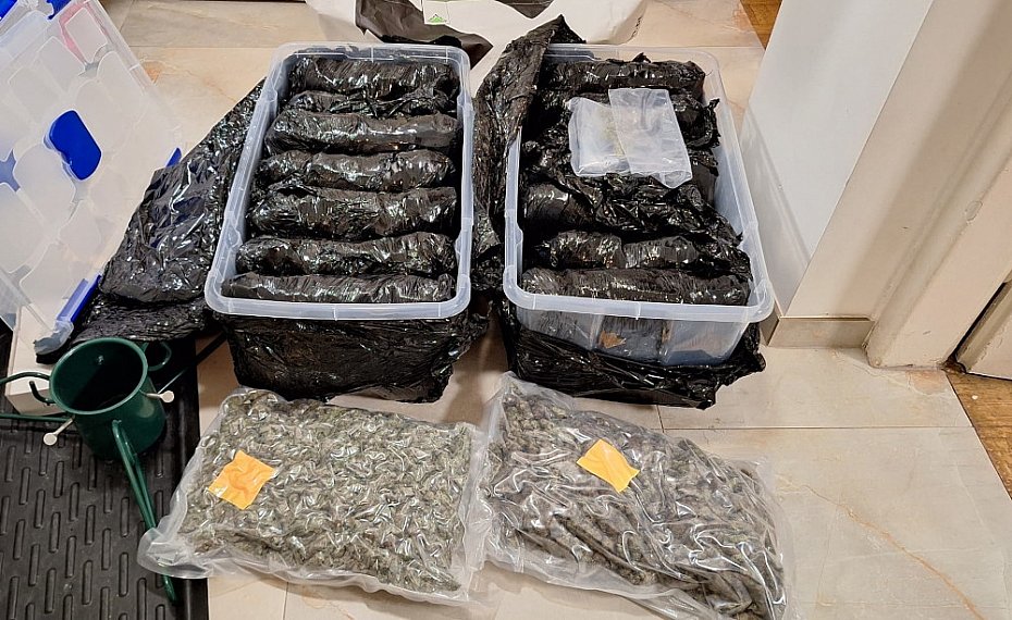 alt='Policja przej�a narkotyki warte ponad milion z�otych'