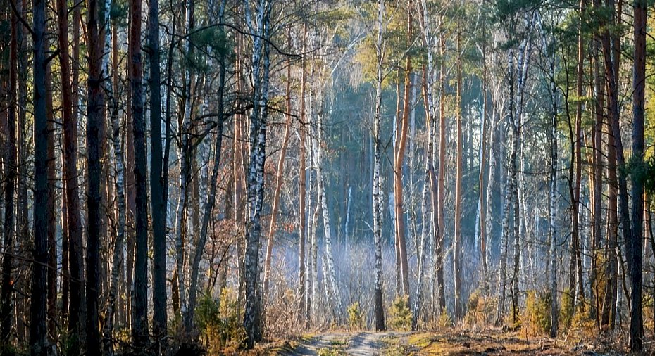 alt='Poka� pi�kno powiatu w obiektywie. Rusza konkurs fotograficzny'