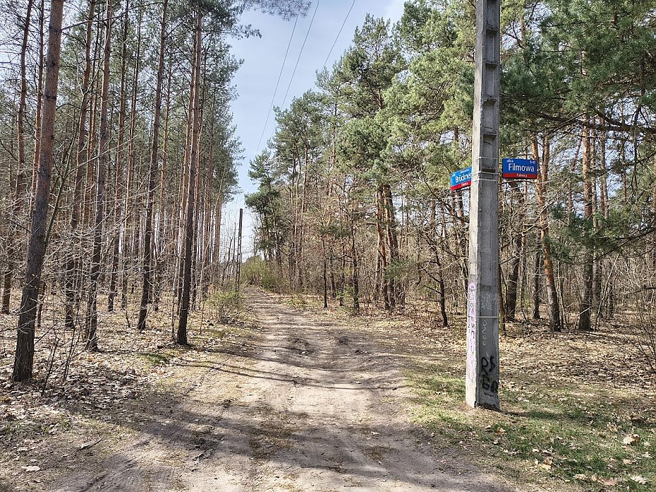 Wawer wycofuje si� z budowy ul. Brucknera przez las w Aleksandrowie
