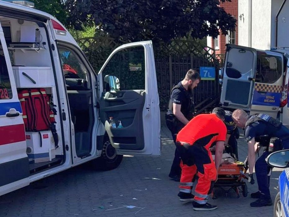 alt='Krzycza�, wspina� si� na drzewo i pr�bowa� wej�� na posesj�. Interweniowa�a stra� miejska'